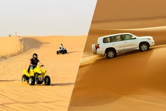 Desert safari with buggy ride in dubai
