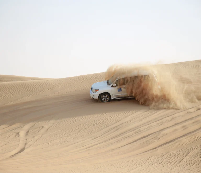Dubai desert safari