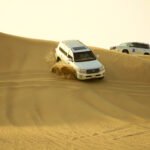 Desert safari in dubai falcon oasis