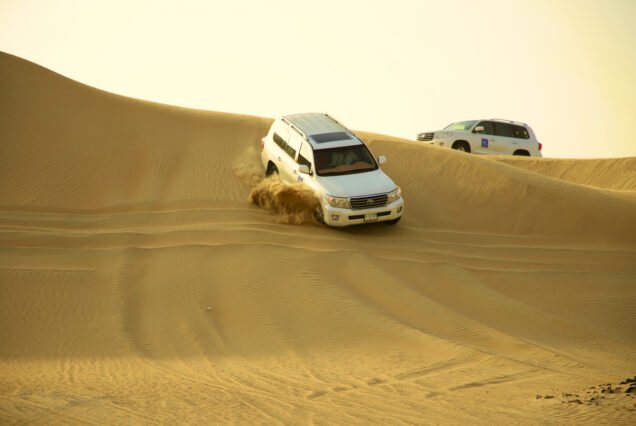 Desert safari in dubai falcon oasis