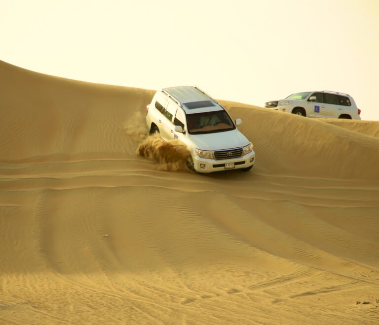 Desert safari in dubai falcon oasis