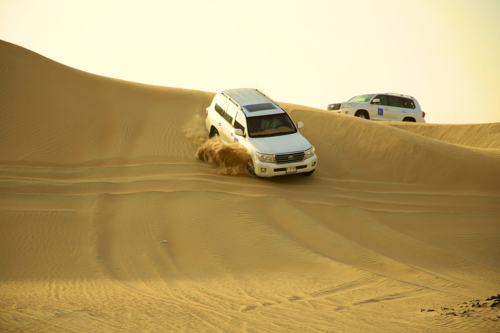 Desert safari in dubai falcon oasis
