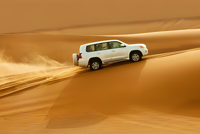 Dubai city tour with lunch (veg-thali) & desert safari